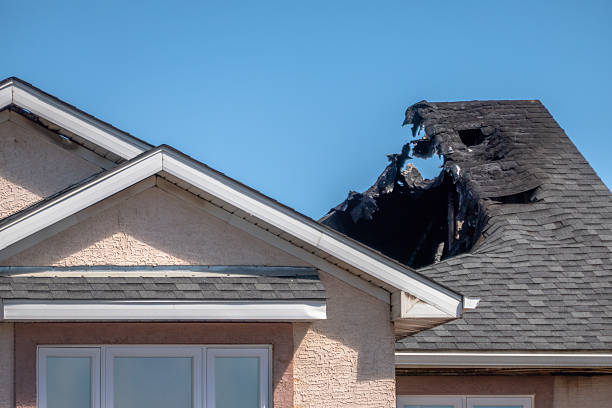 Top rated local Odor Removal specialists in Watertown, MN